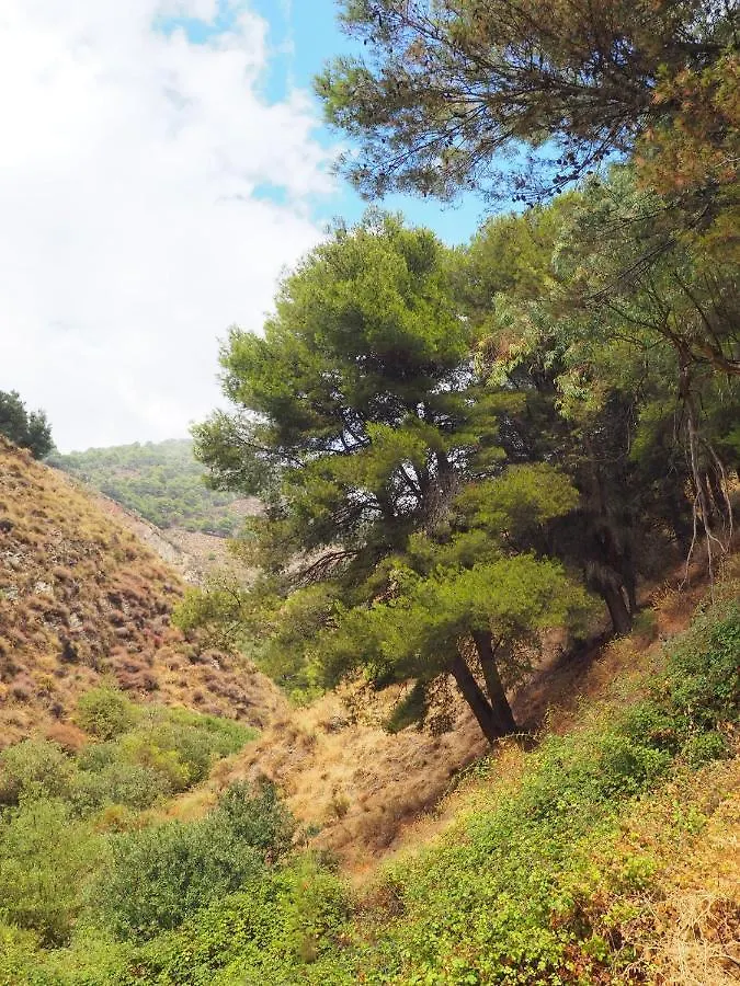 Apartamento Jardin De Mucho Macharaviaya España