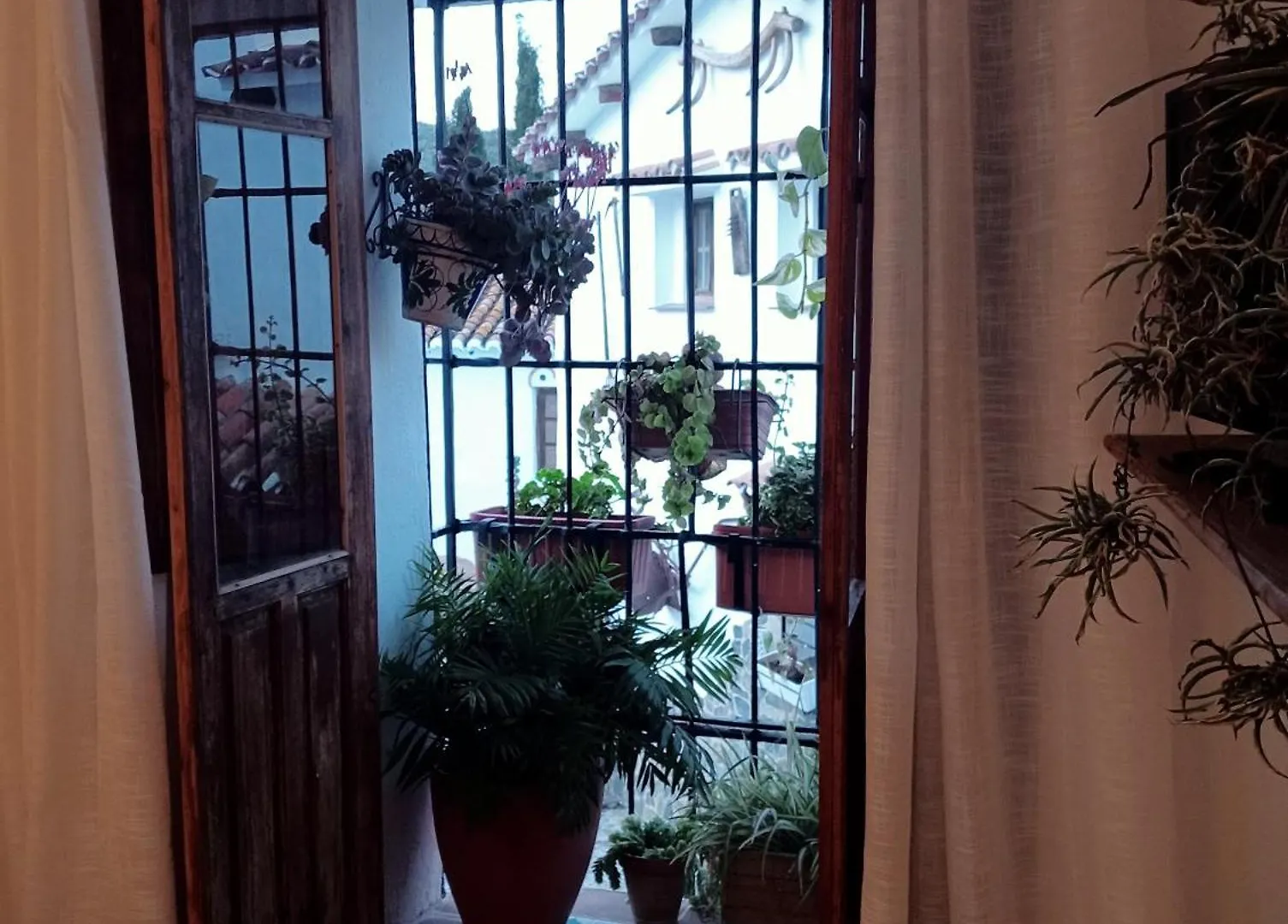 Apartamento Jardin De Mucho Macharaviaya 0*,